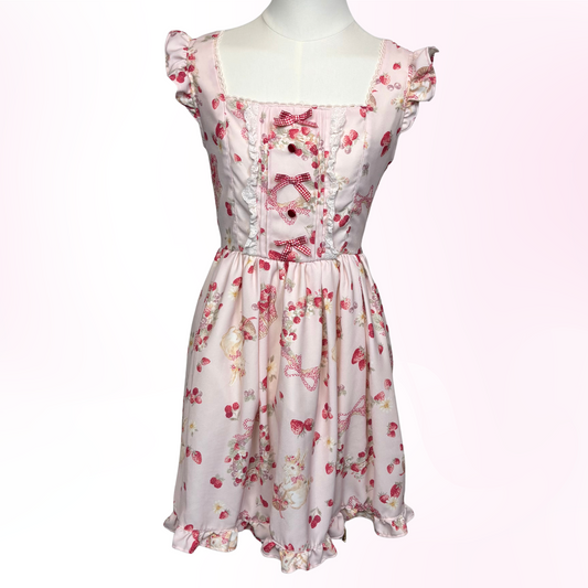 Japanese Brand 'Liz Lisa' Strawberry Bunny Dress JSK [Secondhand]