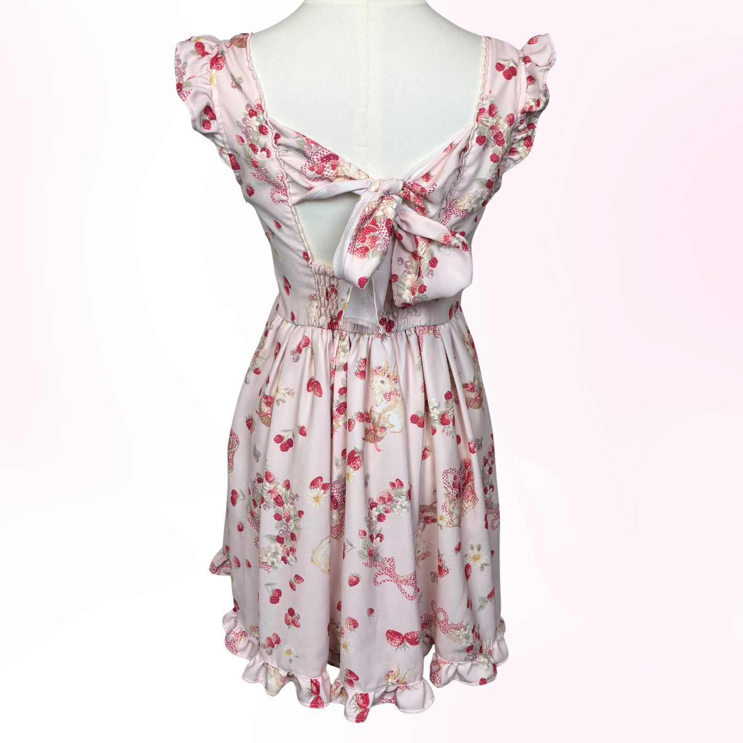 Japanese Brand 'Liz Lisa' Strawberry Bunny Dress JSK [Secondhand]